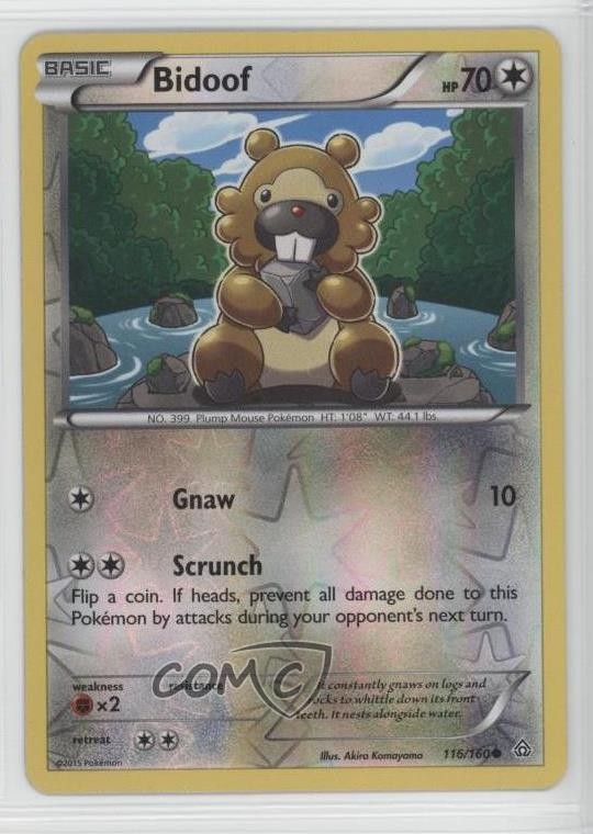 Bidoof Reverse Foil Pokémon XY Scontro Primordiale #116
