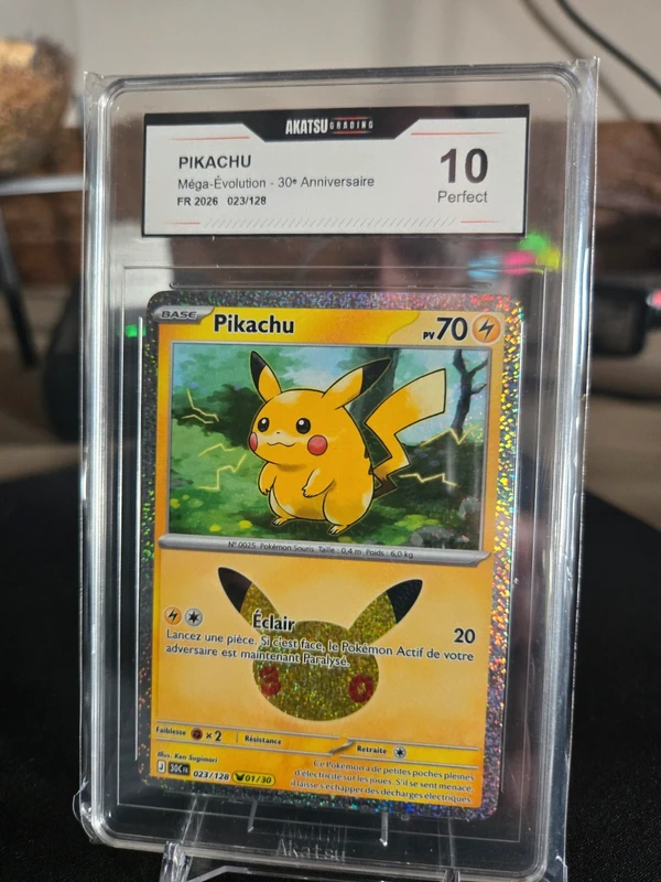 Pikachu 01/30 - Akatsu 10