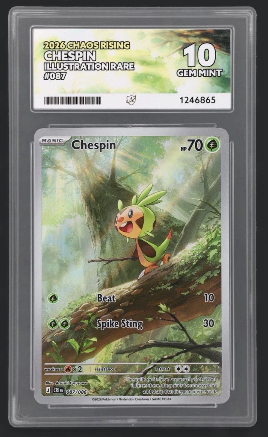 Pokémon TCG - Chespin 087/086 ACE 10 Gem Mint - Chaos Rising - PERFECT SUBGRADES