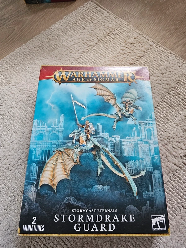 Warhammer Age of Sigmar Stormcast Eternals Stormdrake Guard