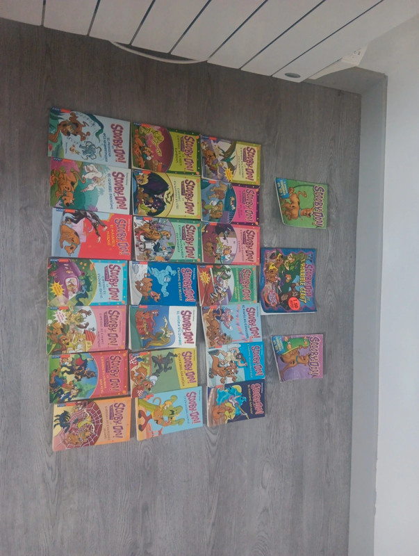 Lot de 24 livre scooby doo