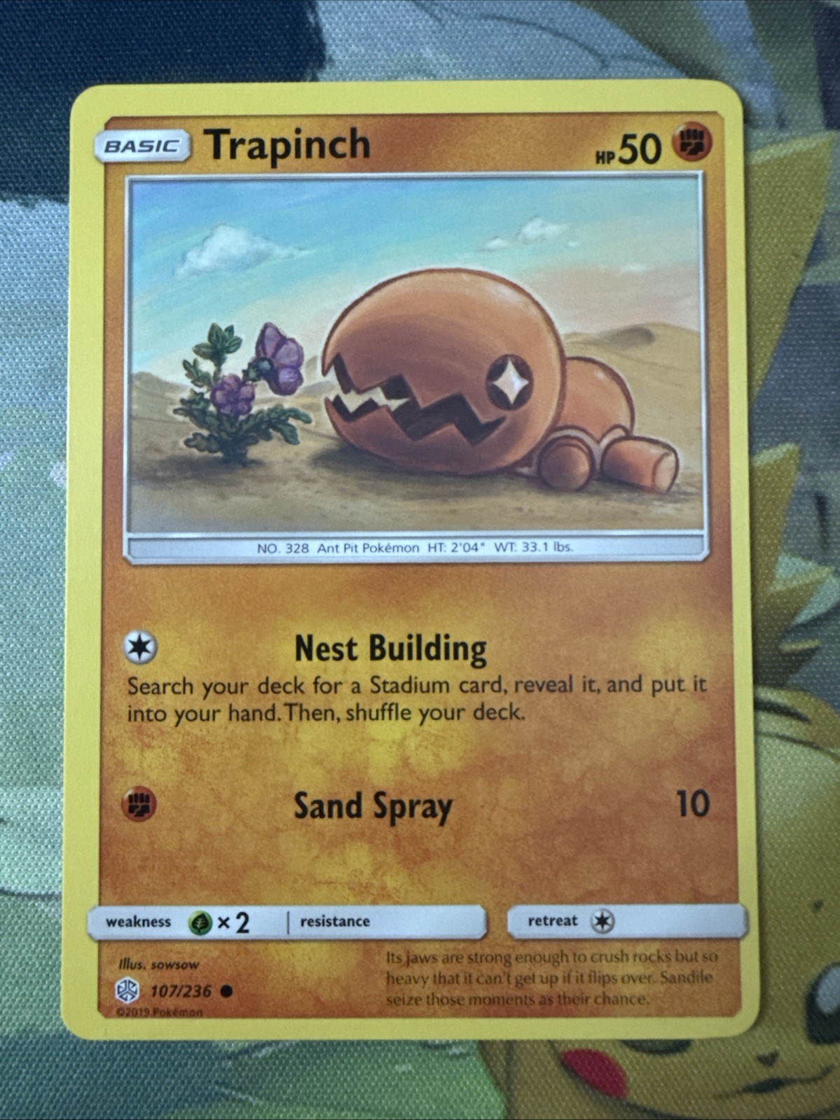 Trapinch 107/236 Eclissi Cosmica Comune Pokemon OC
