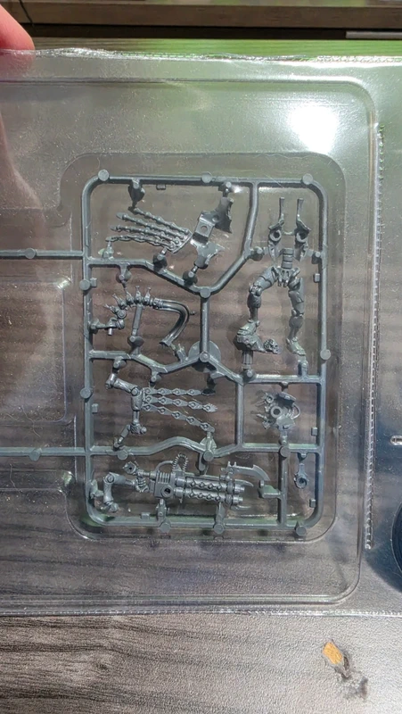 Guardia real necron