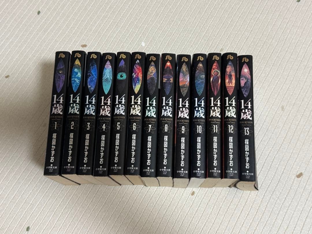 Set 13 volumi edizione Bunko 14 anni prodotti giapponesi