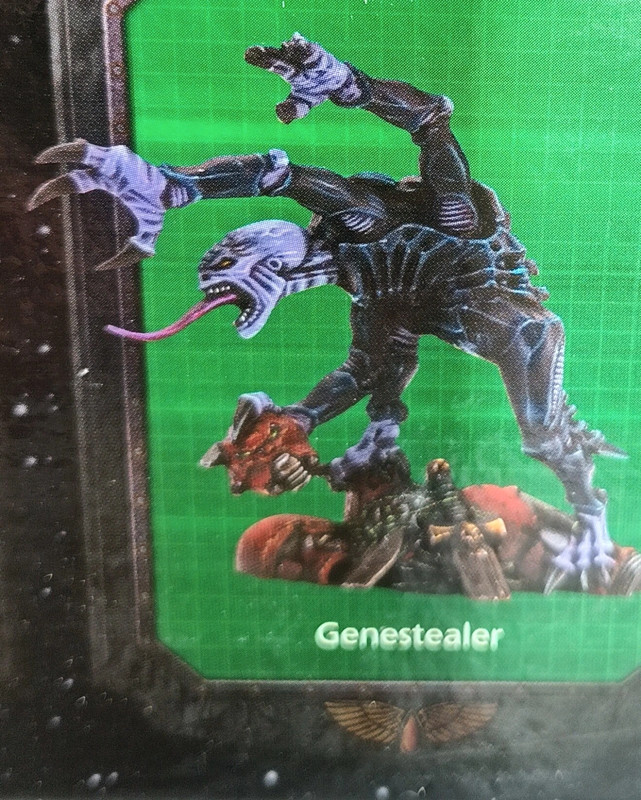 Geneasteler Space Hulk au sol 5