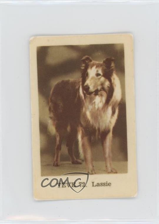 Set TEVE gomma olandese 1962 Lassie #TEVE72 0w6