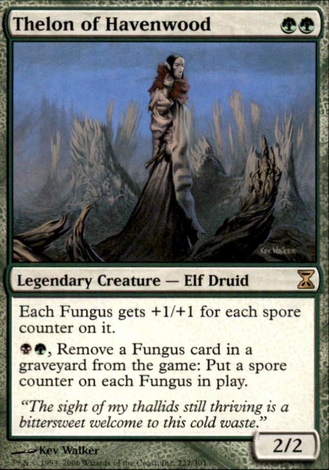 Thelon of Havenwood 227 - Time Spiral Rare - NM