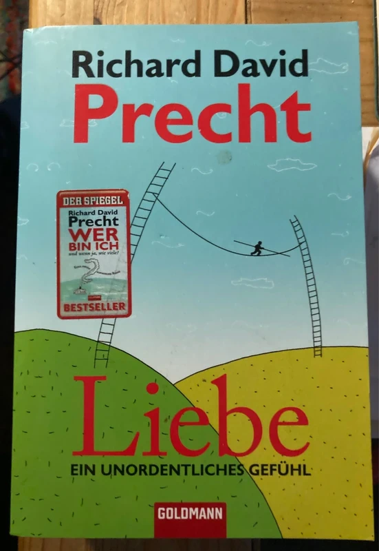 Liebe  - Ein unordentliches Gefühl