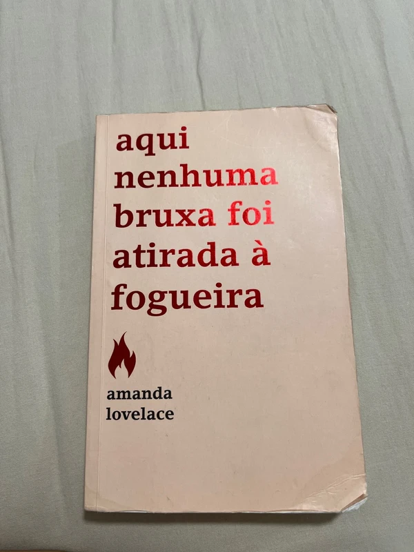 Livro- aqui nenhuma bruxa foi aturada à fogueira