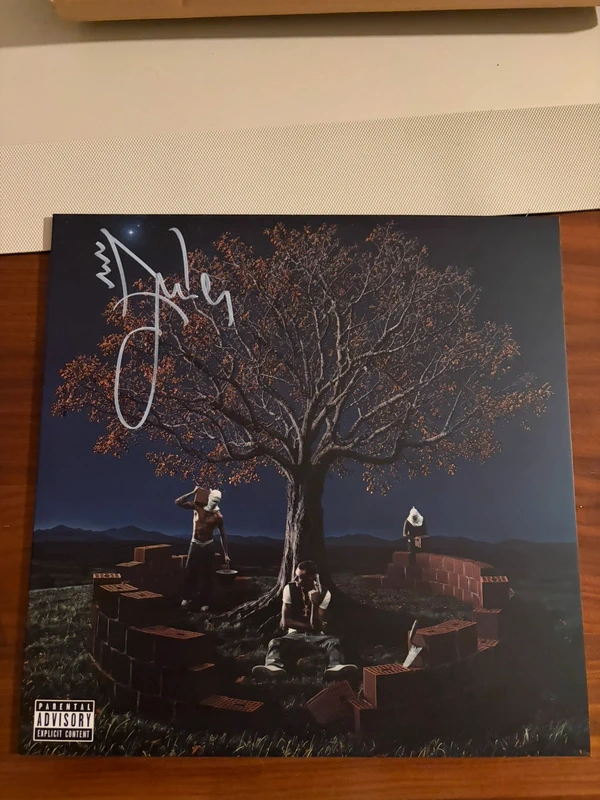Vinile 22simba miria