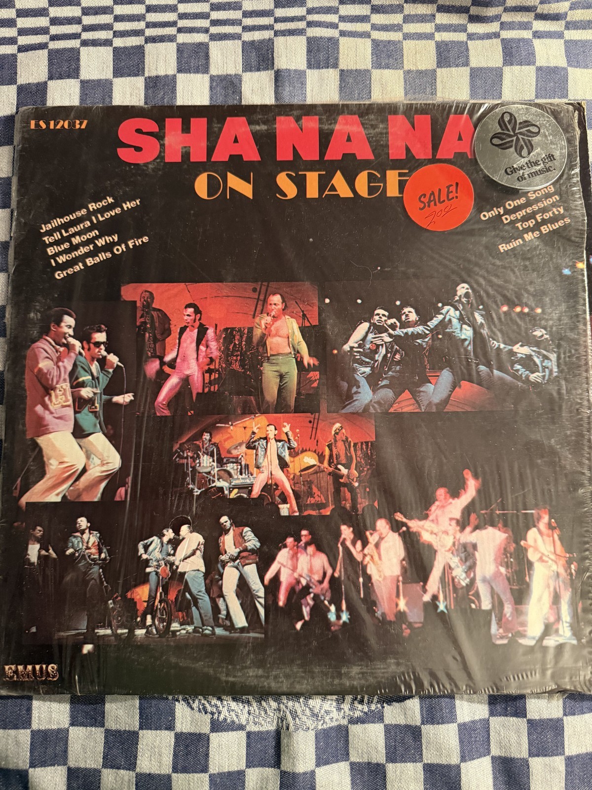 Sha Na Na On Stage