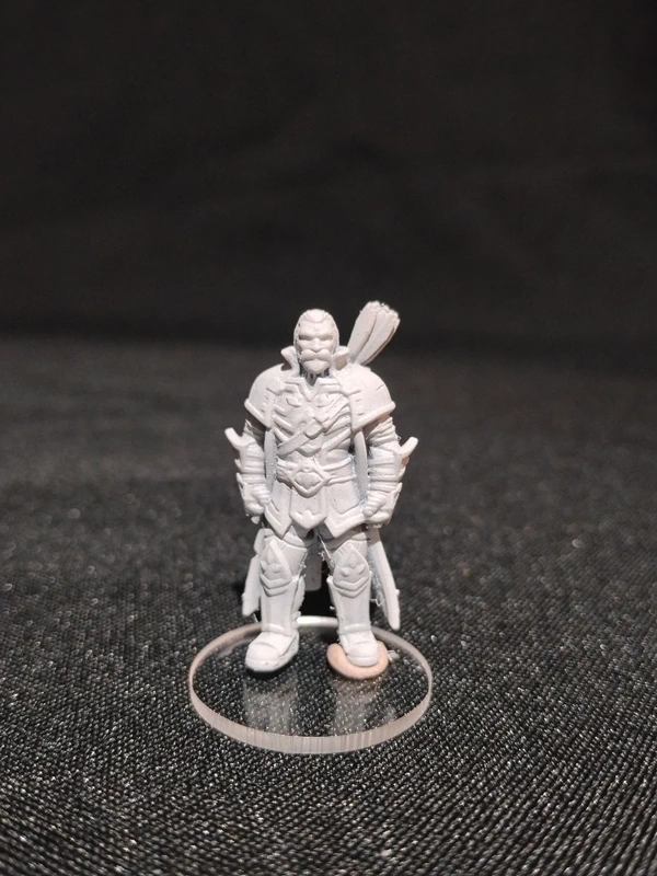 Miniatura RPG - D&D - Nathanos Blightcaller