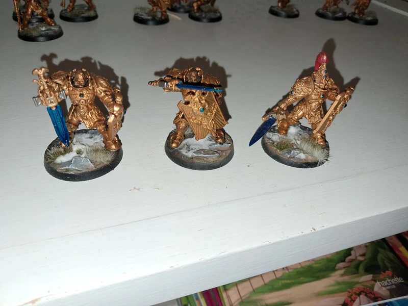 Sodality guard Custodian