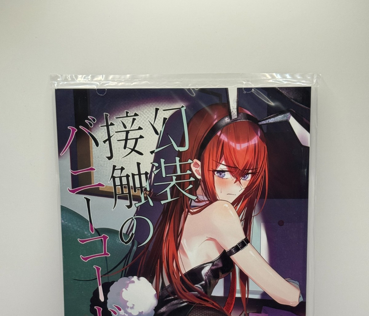 Steins Gate Doujinshi / Illustrazione Giappone