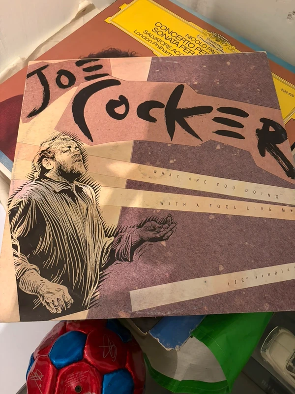 Vinile joe cocker