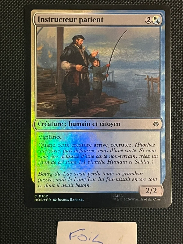 Instructeur 162 Foil le hobbit