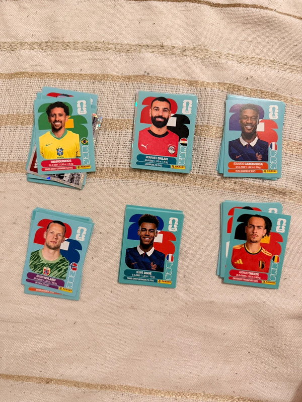 Panini