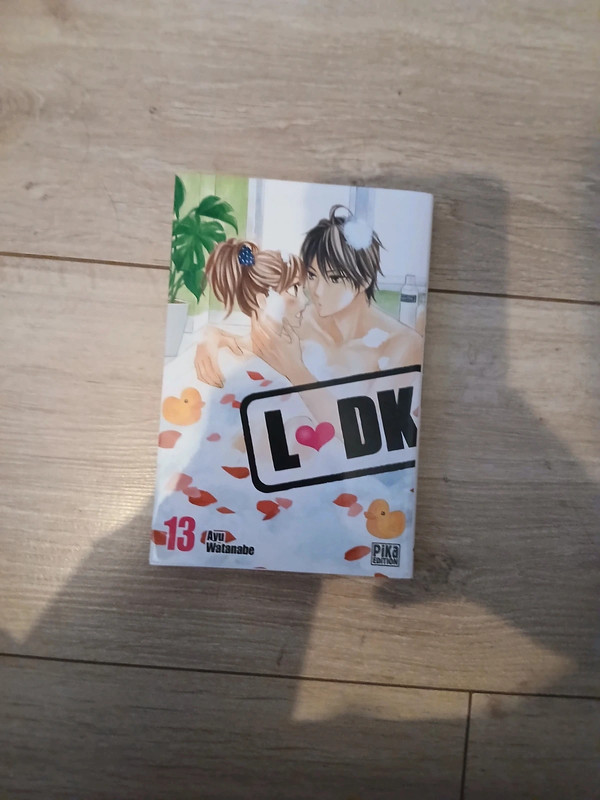 LDK tome 13