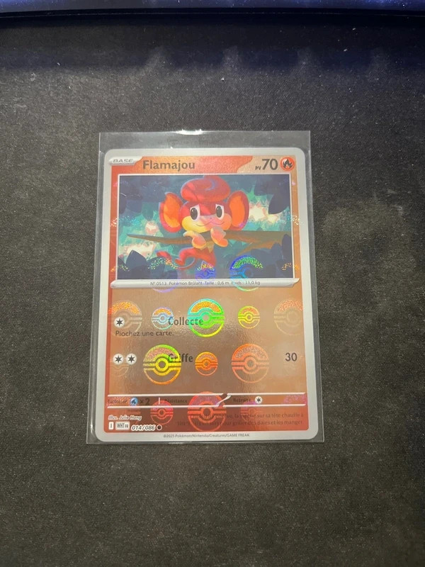 EV10.5 - WHT 014/086 Flamajou Pokéball (FR)