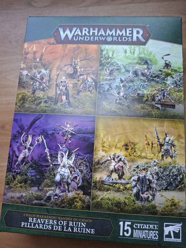 Reavers of Ruin - Pillard de la Ruine