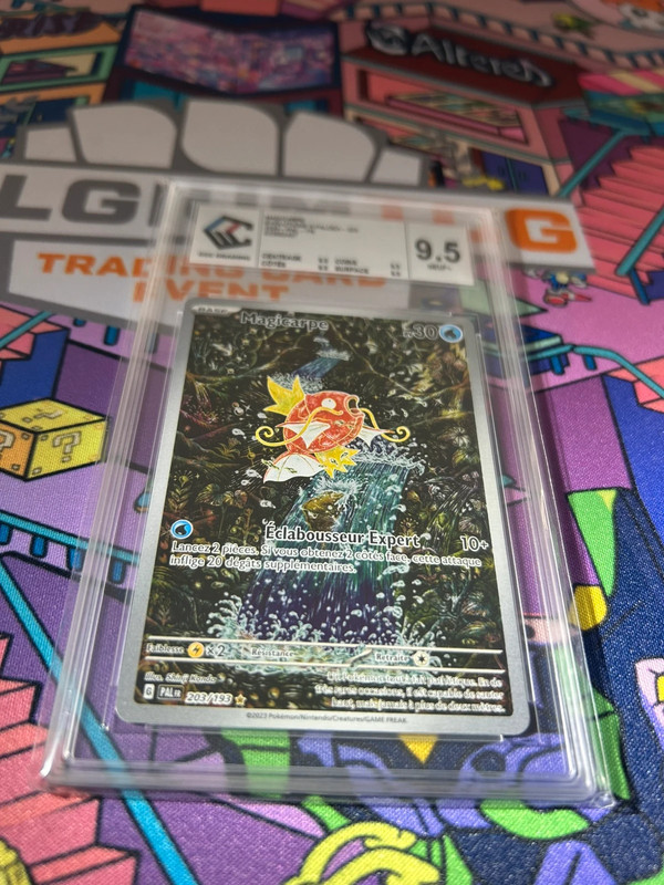 Magicarpe 203/193 Évolutions à Paldea FR 9,5 CCC Grading + Grade Report