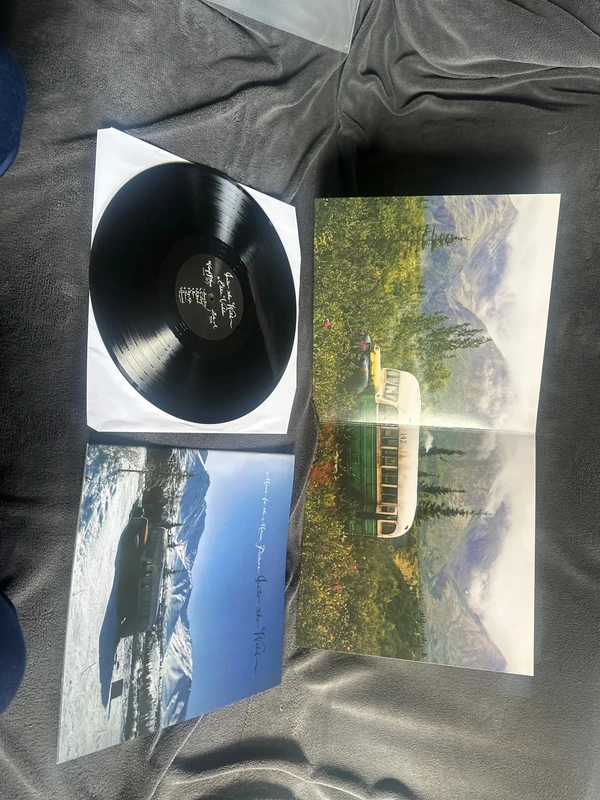 Eddie Vedder Into the wild