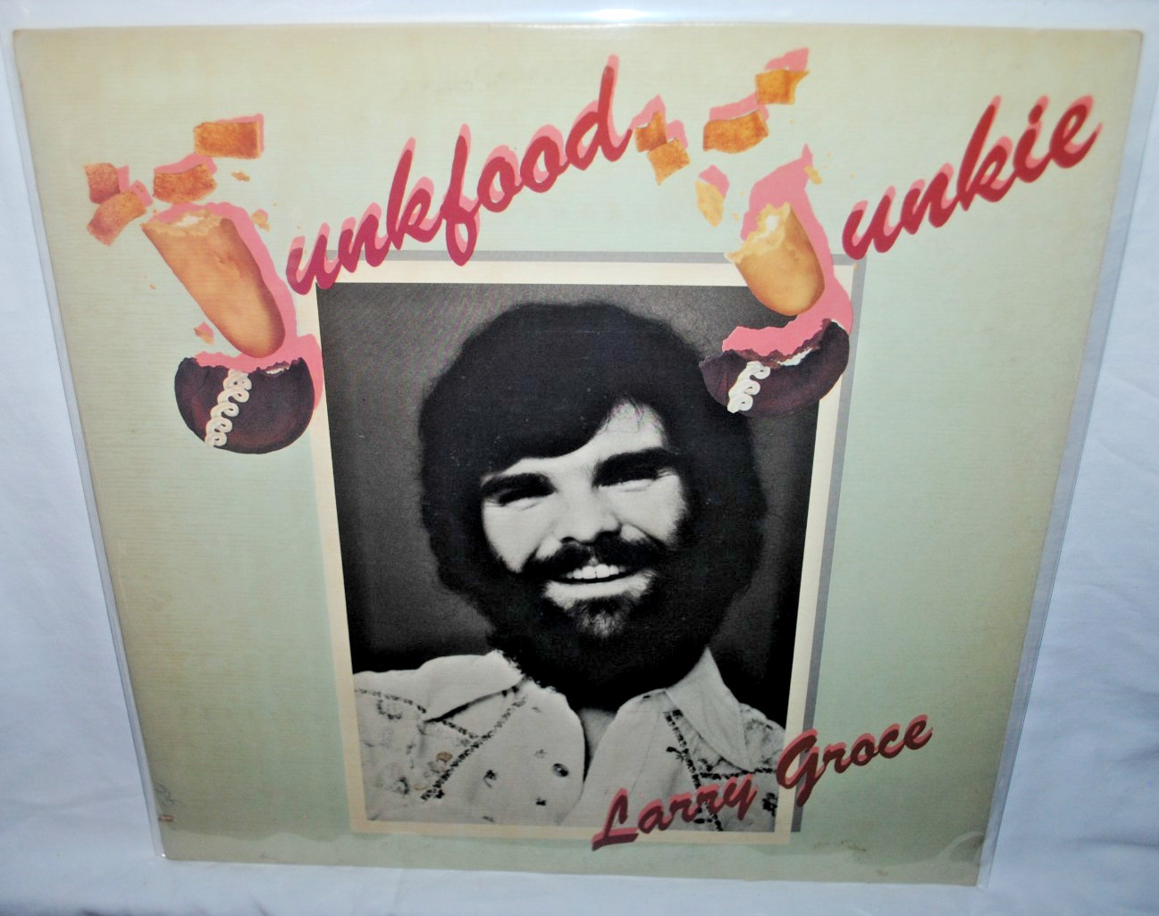 Larry Groce, JUNKFOOD JUNKIE, LP record, EX/EX+, Warner Bros. BS 2933