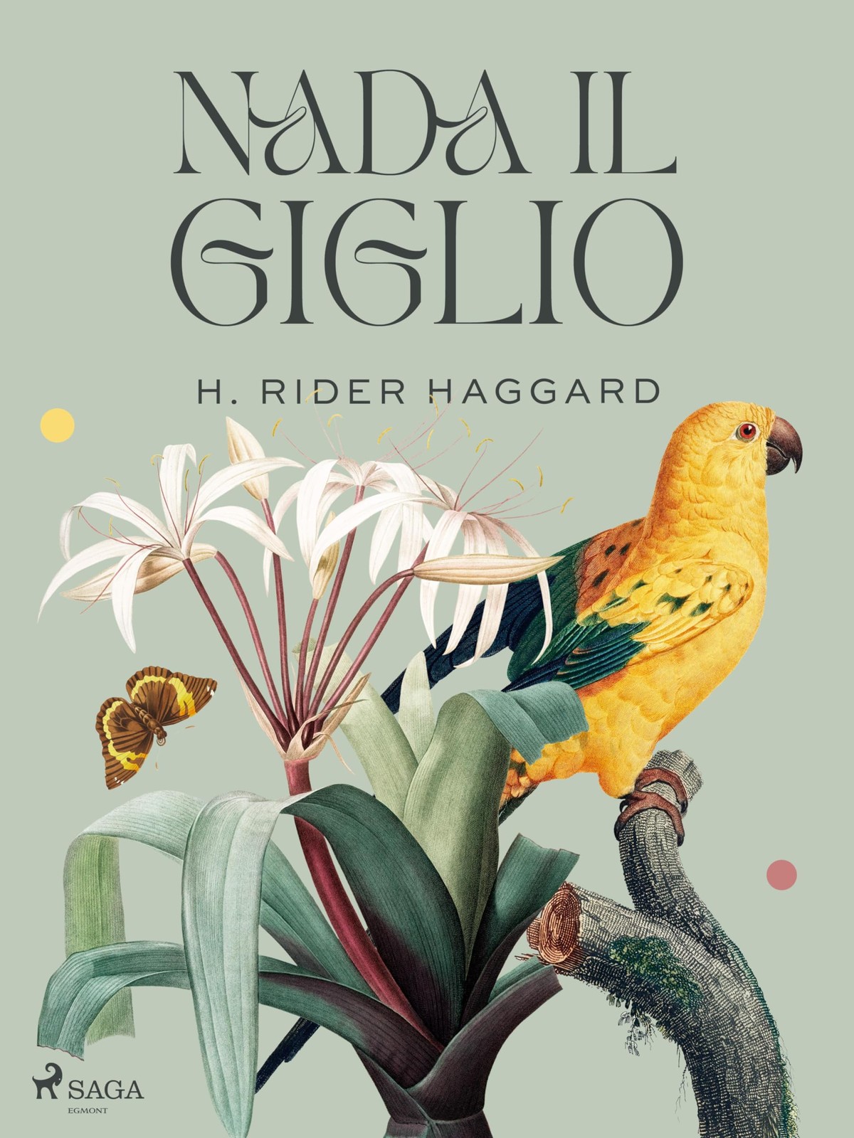 Nada il giglio - Nera afroamericana Letteratura narrativa Cristianesimo