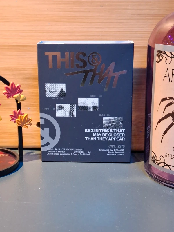 Stray kids - This&that - Fans version