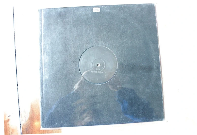 Vinyle The World Of Difference de Dume électro techno 2017