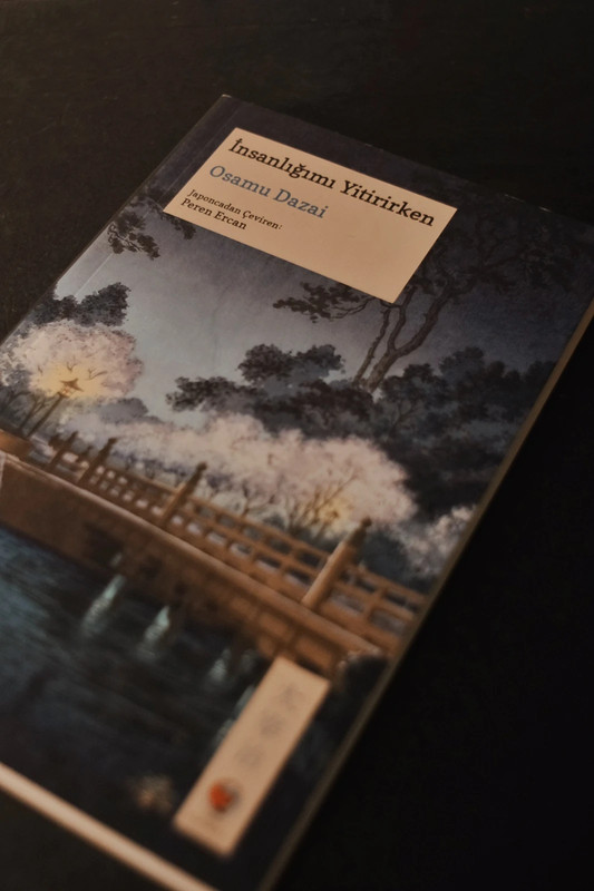 Japanese Book in Turkish