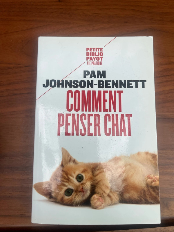Comment penser chat