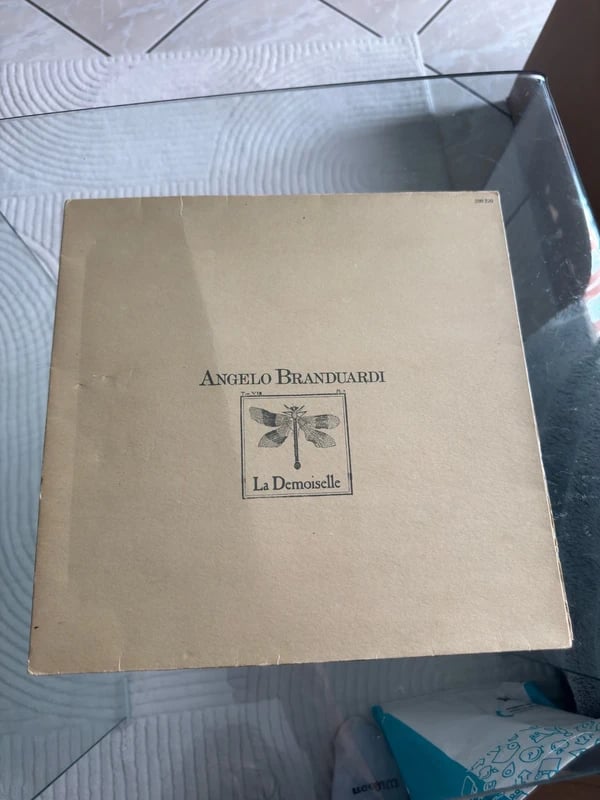 Vinyle – Angelo Branduardi – La Demoiselle – Label Maia – 1979