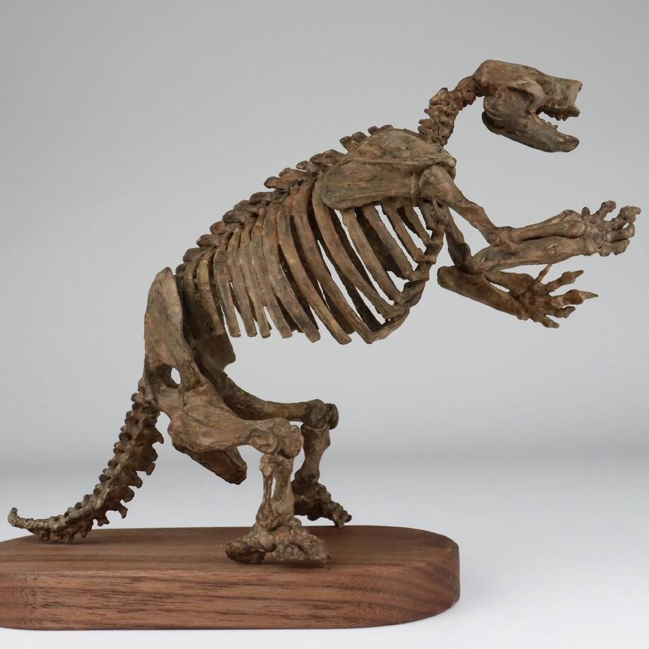 Statua Scheletro Megatherium Modello Animale Modello Espositore Da Collezione Stampa 3D