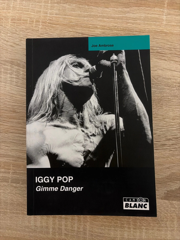 Iggy Pop homme danger