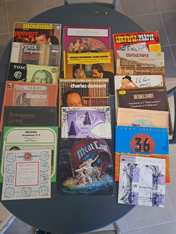 Lot 19 Vinyles 33T Rock, Variété & Classique (Meat Loaf, Montand, Verdi)