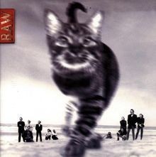 Raw von Soulcats | CD | Zustand sehr gut