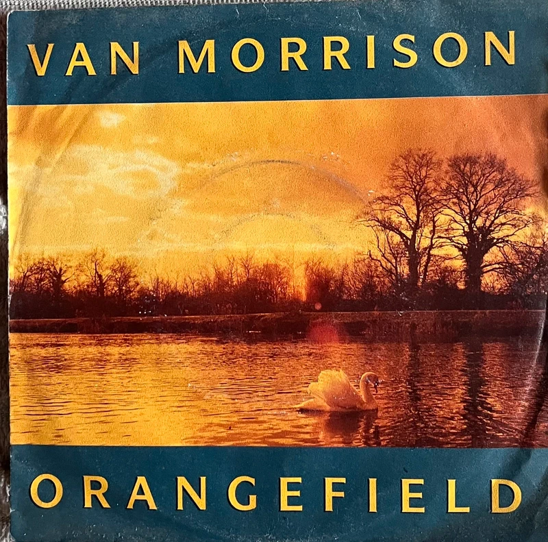 Vinyl 7” Van Morrison - Orangefield