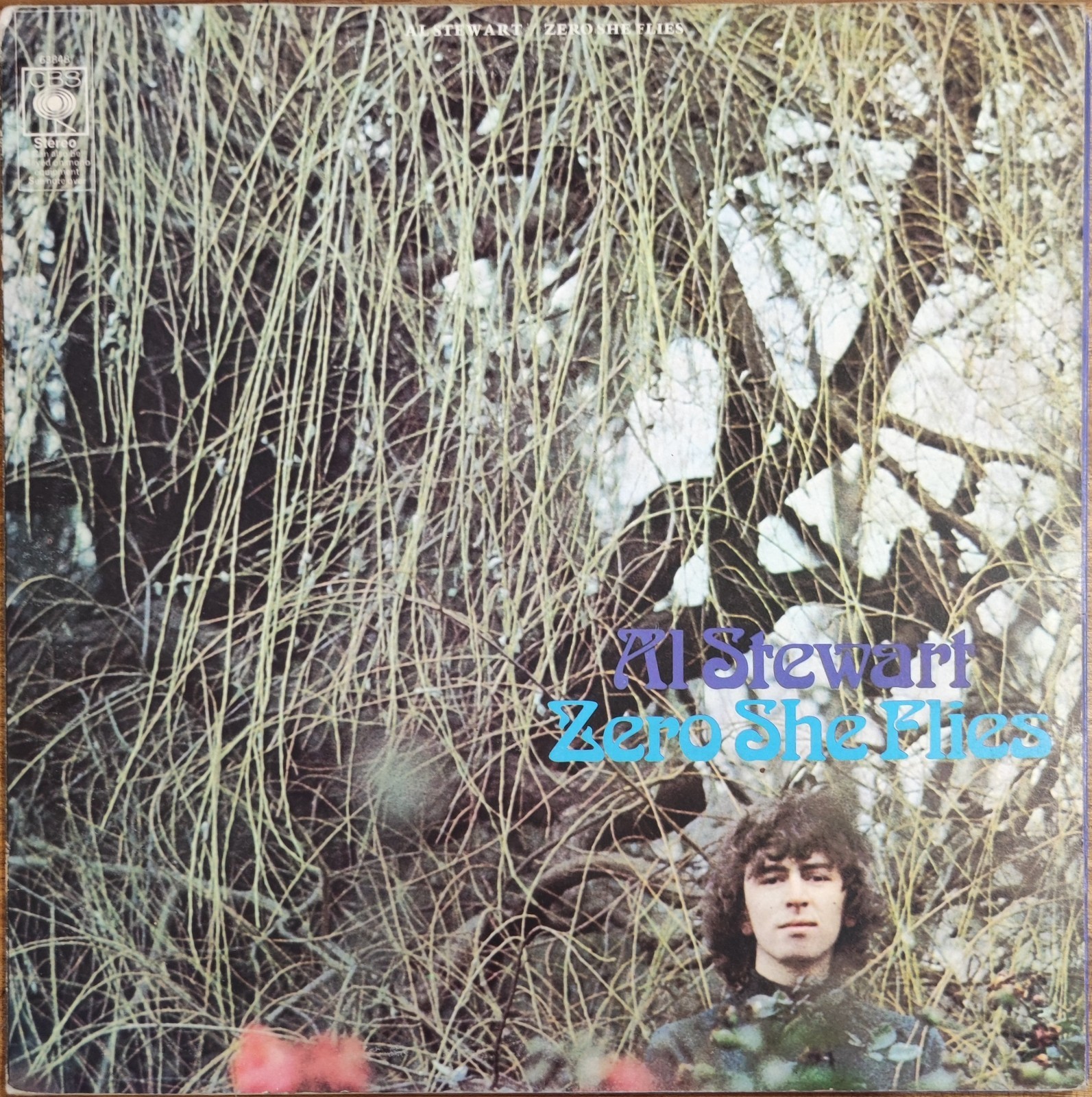 AL STEWART – ZERO SHE FLIES – 63848 – UK - LP