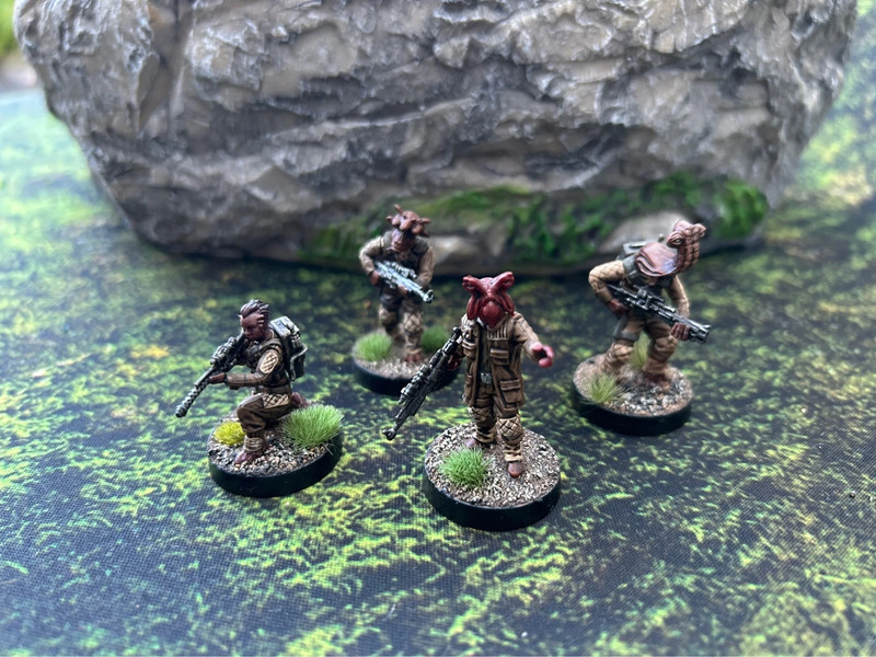 Rebel trooper upgrade expansion