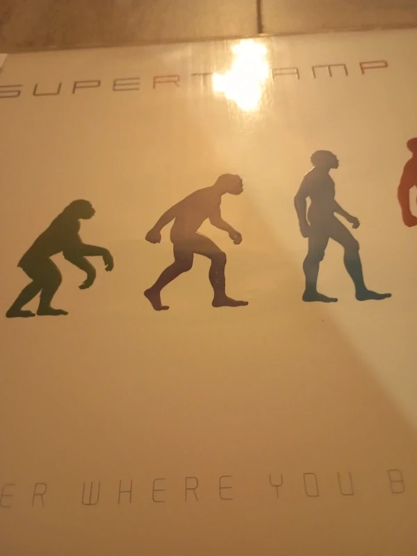 Vinyle Supertramp brother where you bound