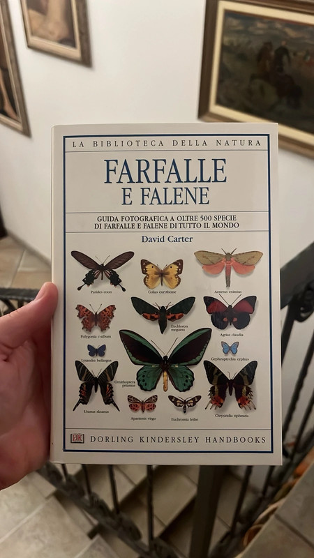 Libro Farfalle e falene🦋