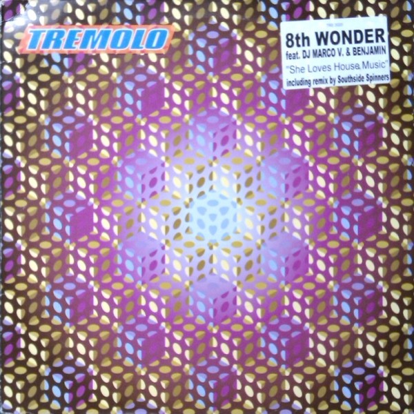 8th Wonder feat. Marco V & Benjamin - She Loves House Music (12") 8713843020204
