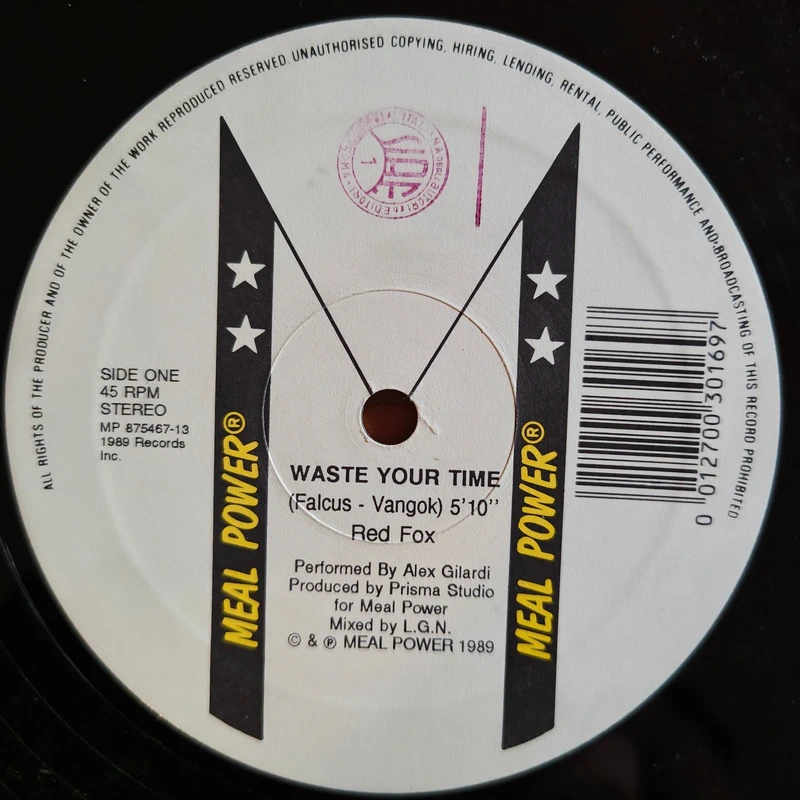 Red Fox - Waste Your Time (12") Italo House