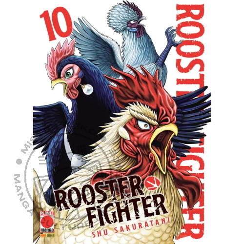 Rooster Fighter n° 10