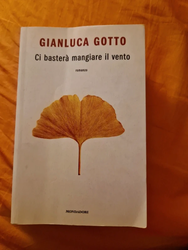 Ci basterà mangiare il vento - Gotto, Gianluca
