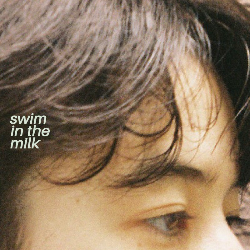 LP LIGHTERS swim in the milk LYRA1001 LATER YOUTH JAPAN SEALED