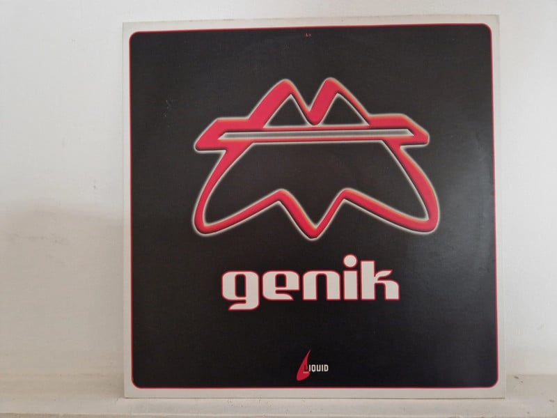 Vinile
