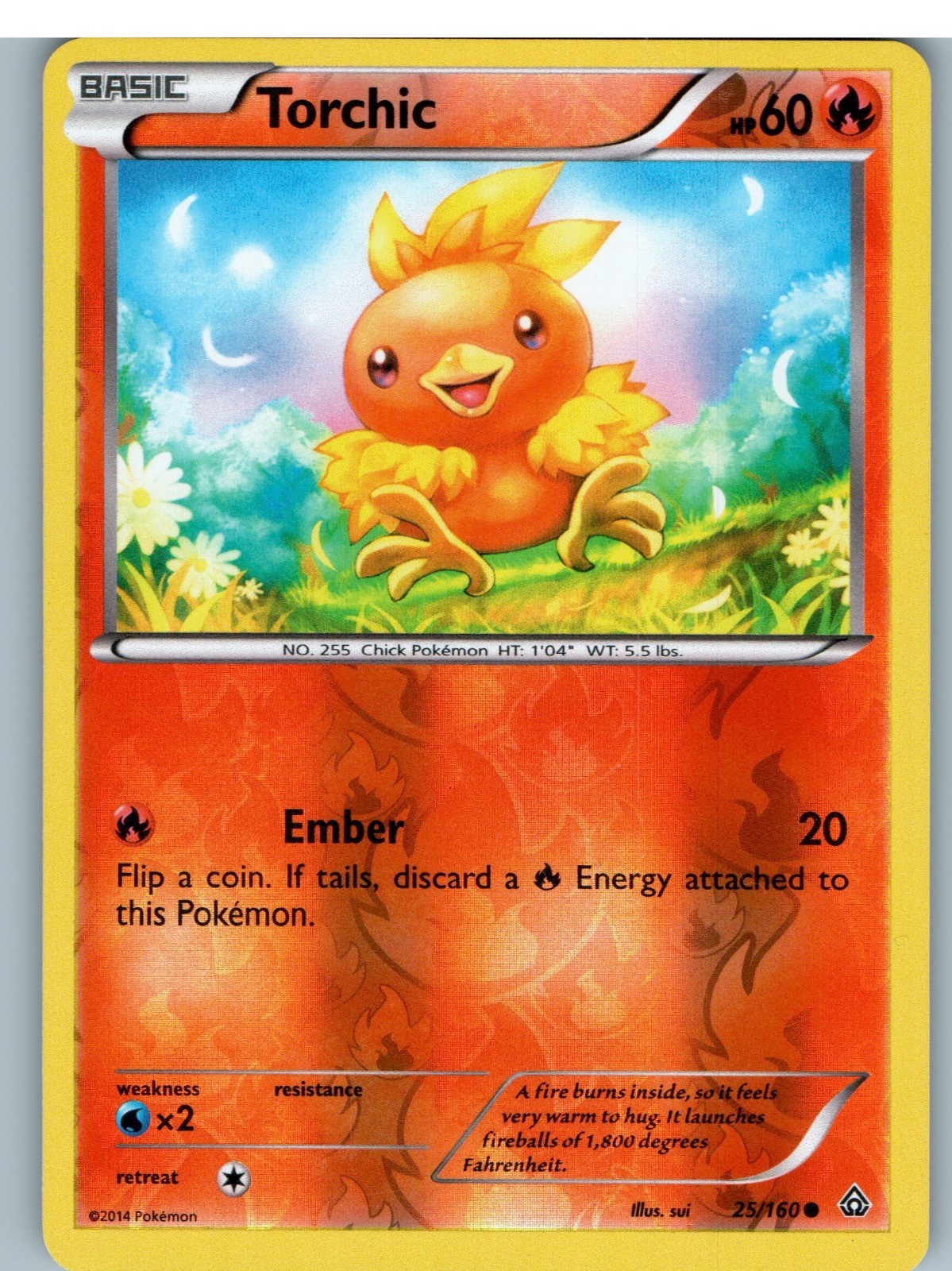 Torchic 25/160 Common Primal Clash Pokemon Reverse Holo leggermente giocato