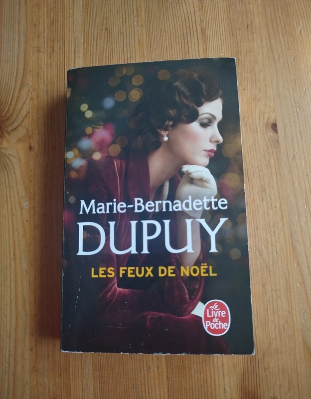 Livre les feux de Noël